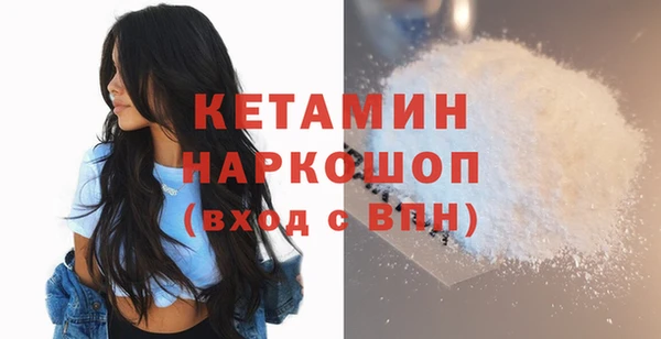 сатива Армянск