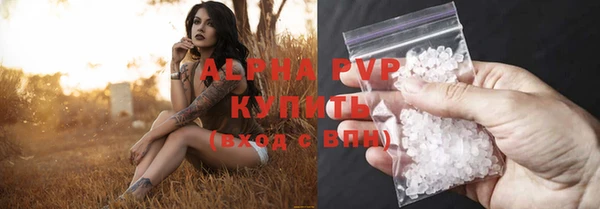 сатива Армянск