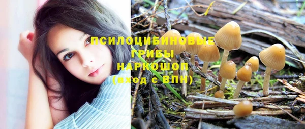 сатива Армянск