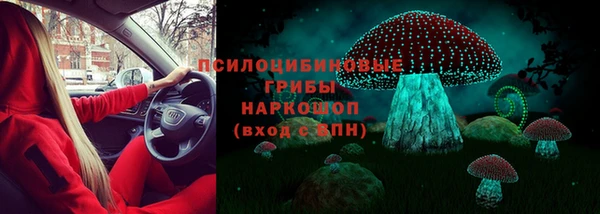 дурь Арсеньев