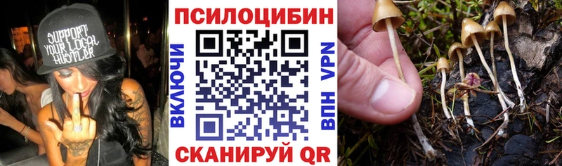купить сайты Белозерск omg ссылка Галлюциногенные грибы прущие грибы